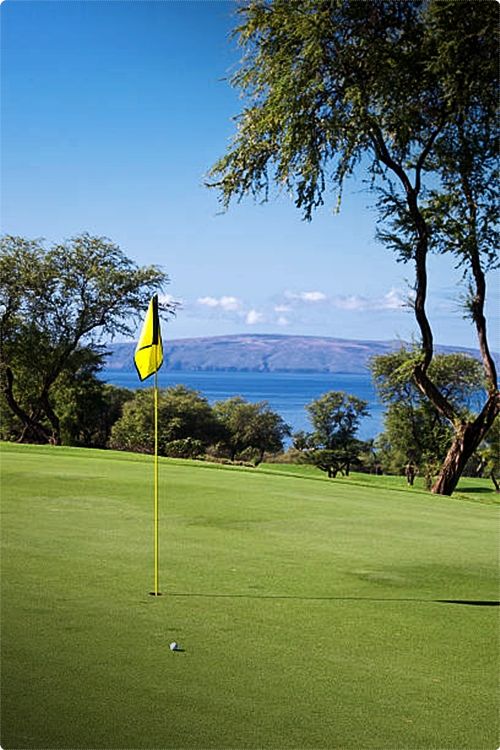 Best Golfing In Maui. If you're taking a golf holiday, looking to get in a few holes while on a family holiday or you want the greatest golf resort getaway, you will find something which will satisfy your needs.